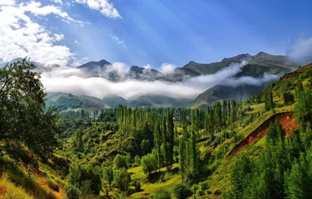 Ghaziabad to Kasauli Tempo Traveller
