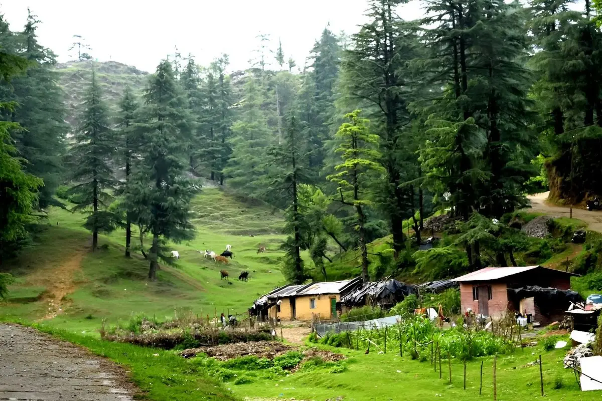 Ghaziabad to Dehradun Tempo Traveller